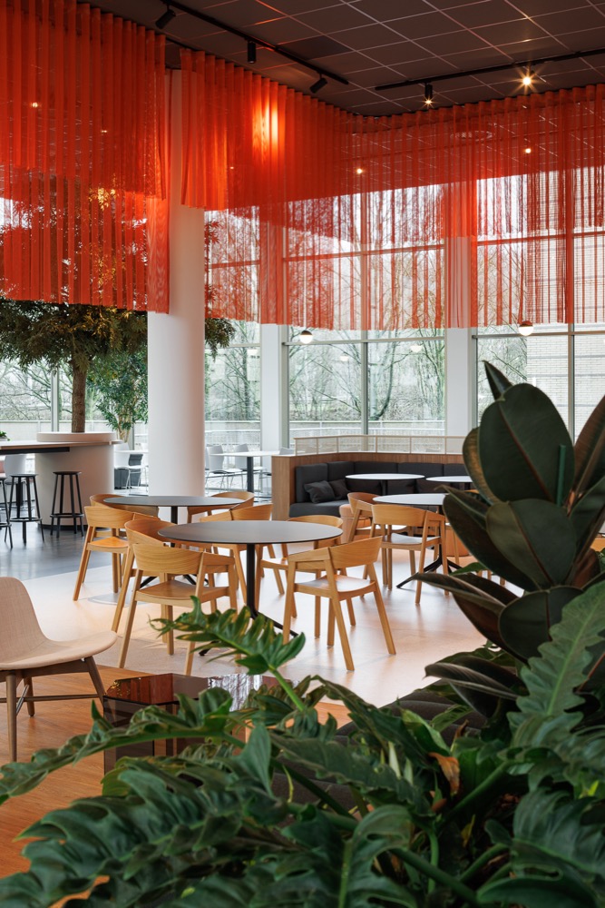 Studio Swarts Project 20